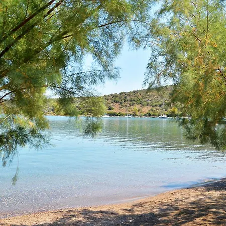 Stork - Garden & Sea View