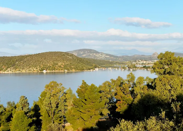 アパート Id Holiday Living