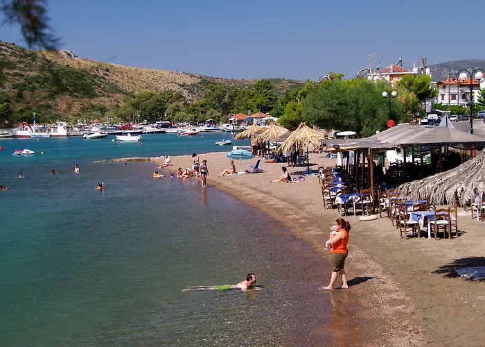 Daire Id Holiday Living